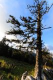 201309211744-AJS_7833.jpg